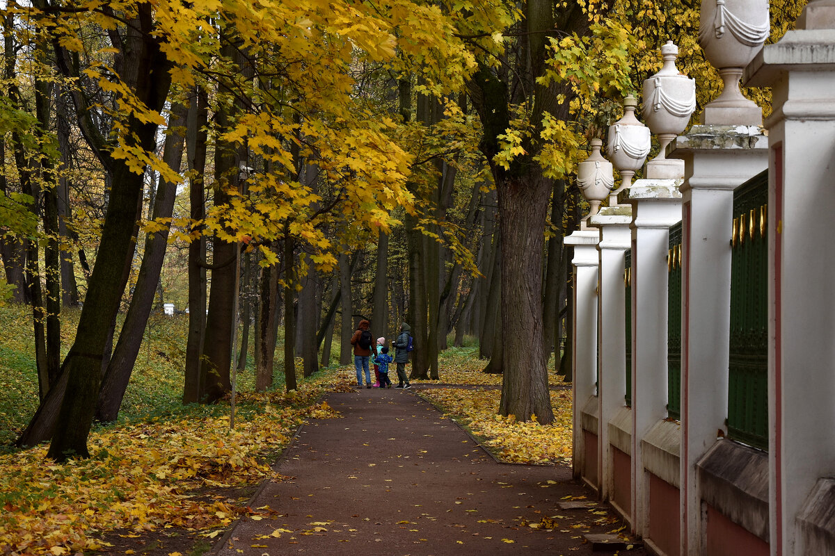 В осеннем парке. Кусково - Любовь Р