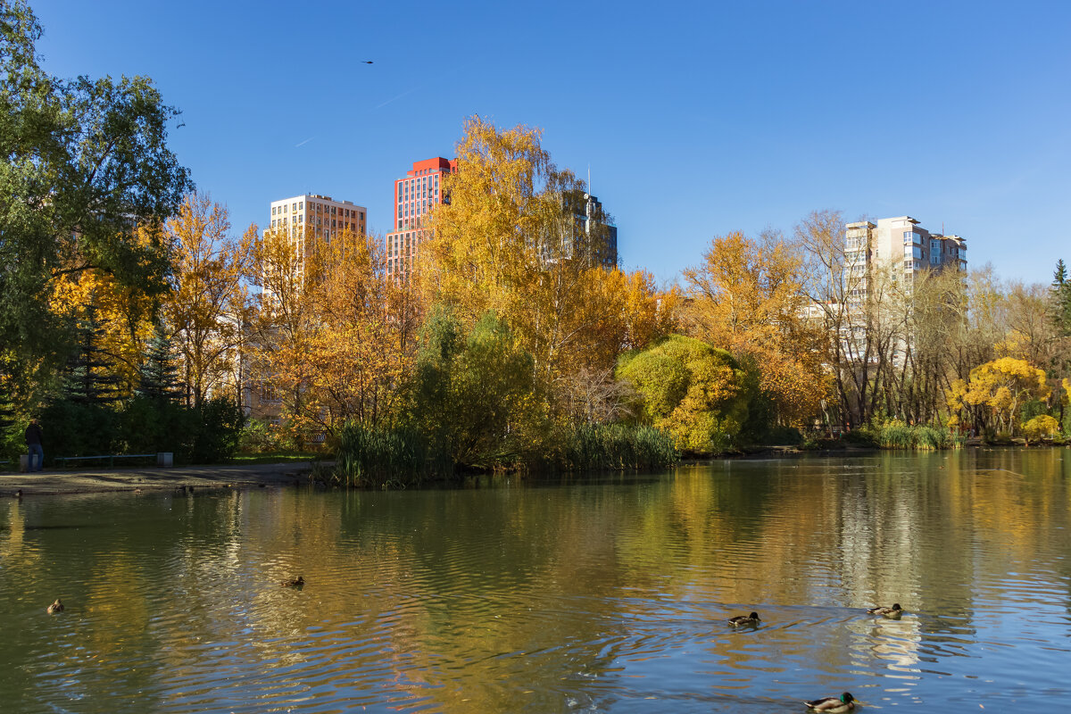 Фото. 2.10.2024.Екатеринбург.Золотая осень в Дендрарии на Мира.jpeg - Михаил Пименов