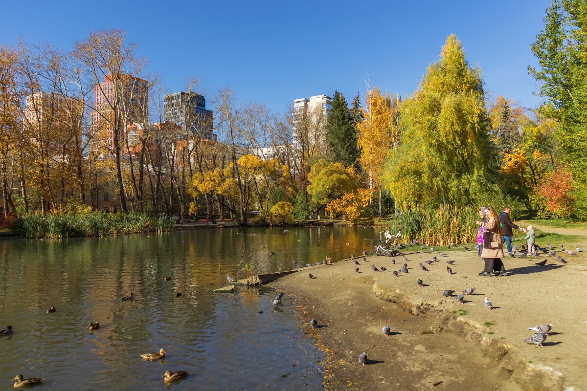 Фото. 2.10.2024.Екатеринбург.Золотая осень в Дендрарии на улице Мира.jpeg - Михаил Пименов