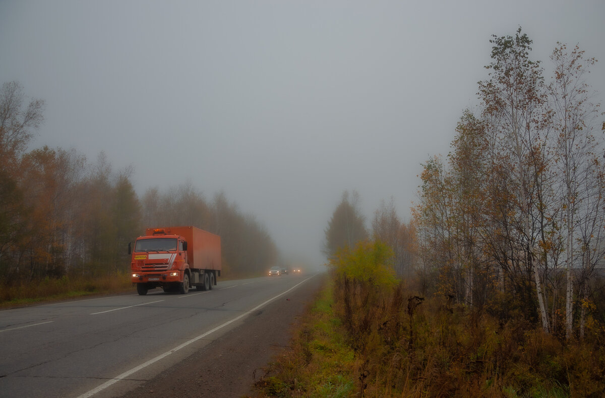 НА ДОРОГАХ ТУМАН, ВИДИМОСТЬ ... - Владимир Железнов