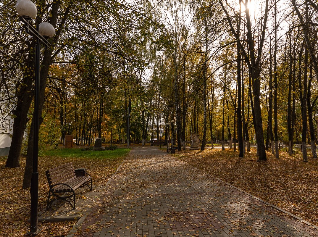 Осень в парке - Андрей Андрианов