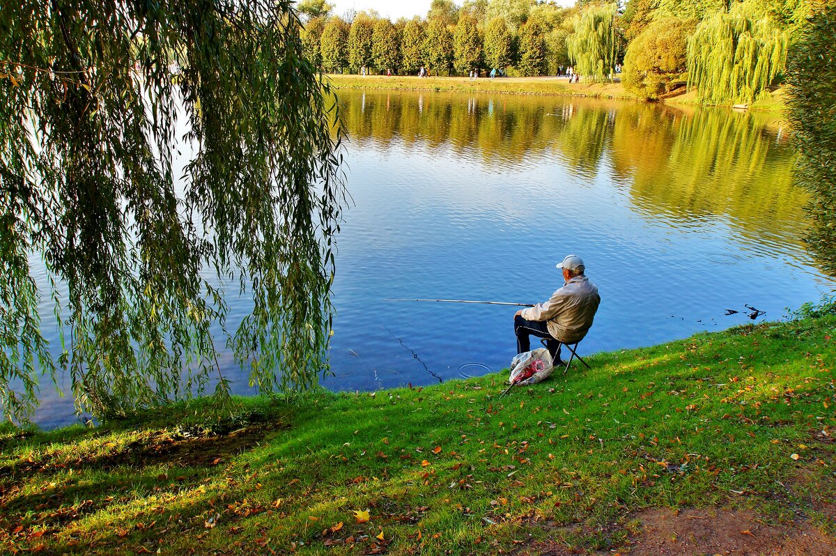 ЦАРИЦЫНО - АЛЕКСАНДР 