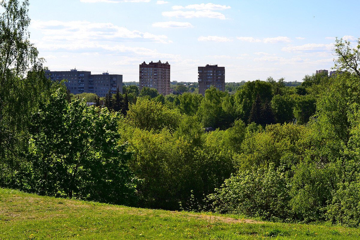 Вид из парка в сторону проспекта - Александр Рыжов