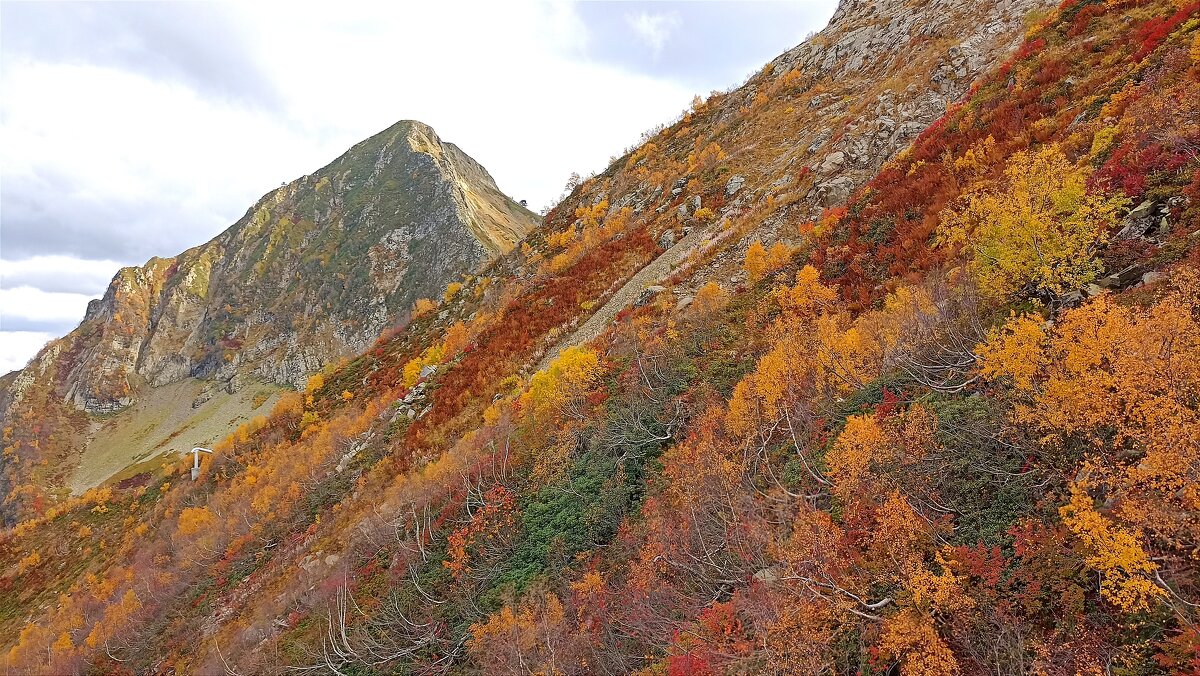 Осень в горах - Татьяна Тюменка