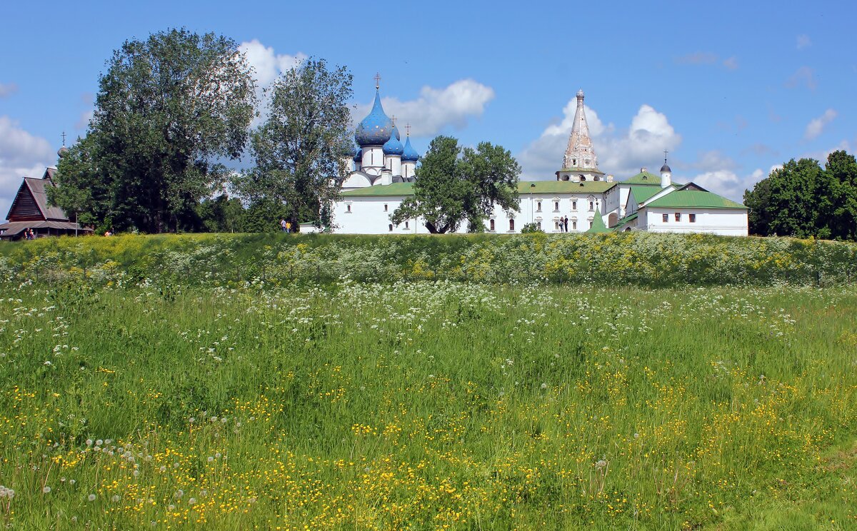 На берегу Каменки - Владимир Соколов (svladmir)