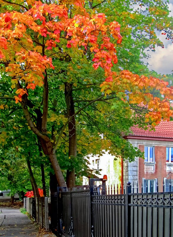 В переулке - Сергей Карачин