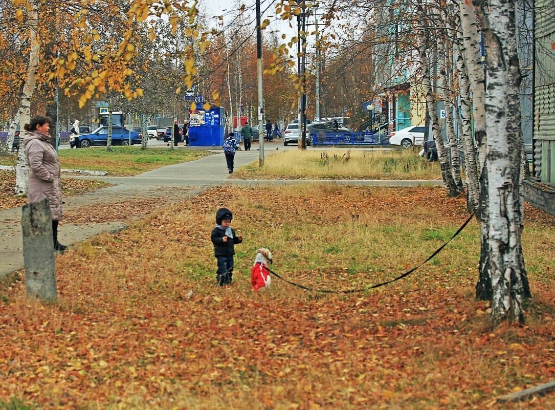 Сентябрь..Малыш и песик! - Владимир 