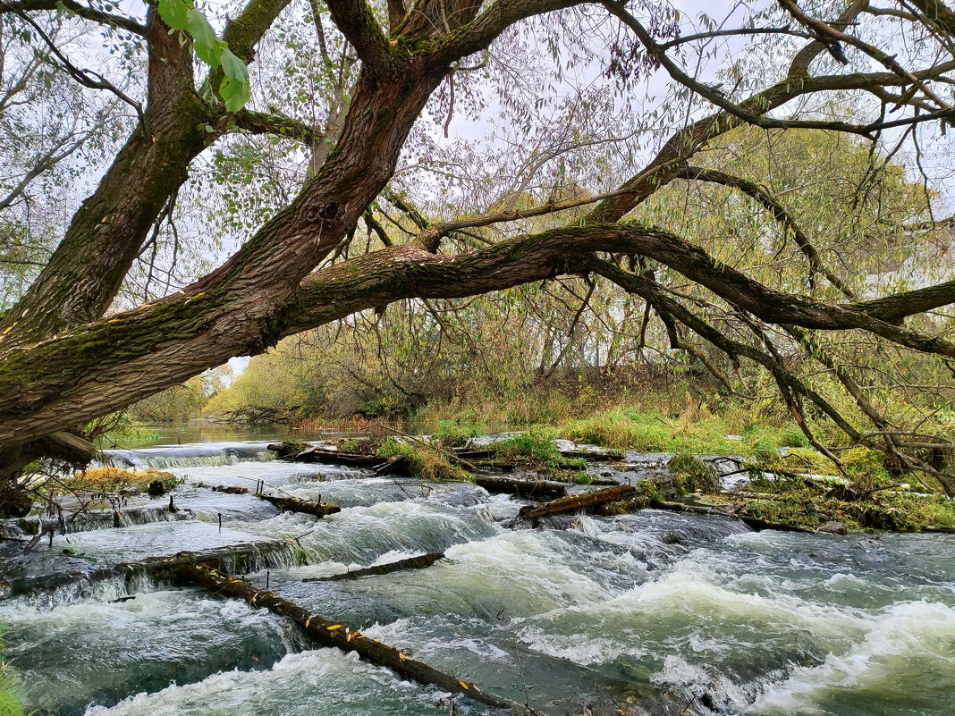 Старая плотина на реке Киржач - Денис Бочкарёв