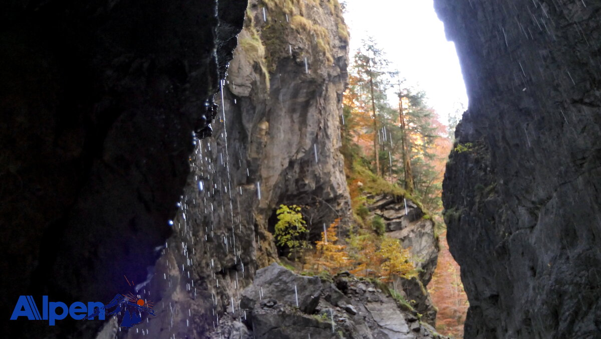 Осенний блюз, звучит в тиши.../Bayern Germany/ - "The Natural World" Александер