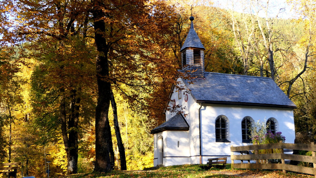 Осенний блюз, звучит в тиши.../Bayern Germany/ - "The Natural World" Александер