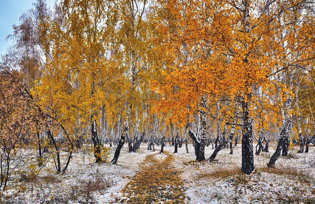 Первый снег - Mikhail Irtyshskiy