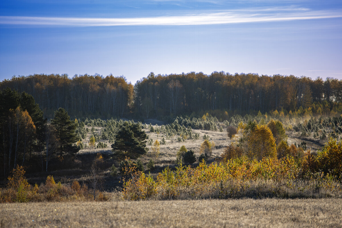 Осень в разгаре - Barguzin_45 Иваныч