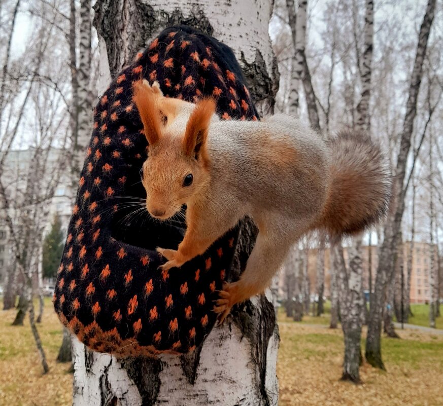 Всё моё ! - Мила Бовкун