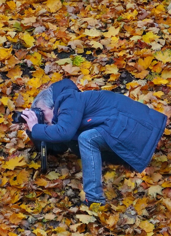 фотограф со стороный, узнай себя - rittchie 