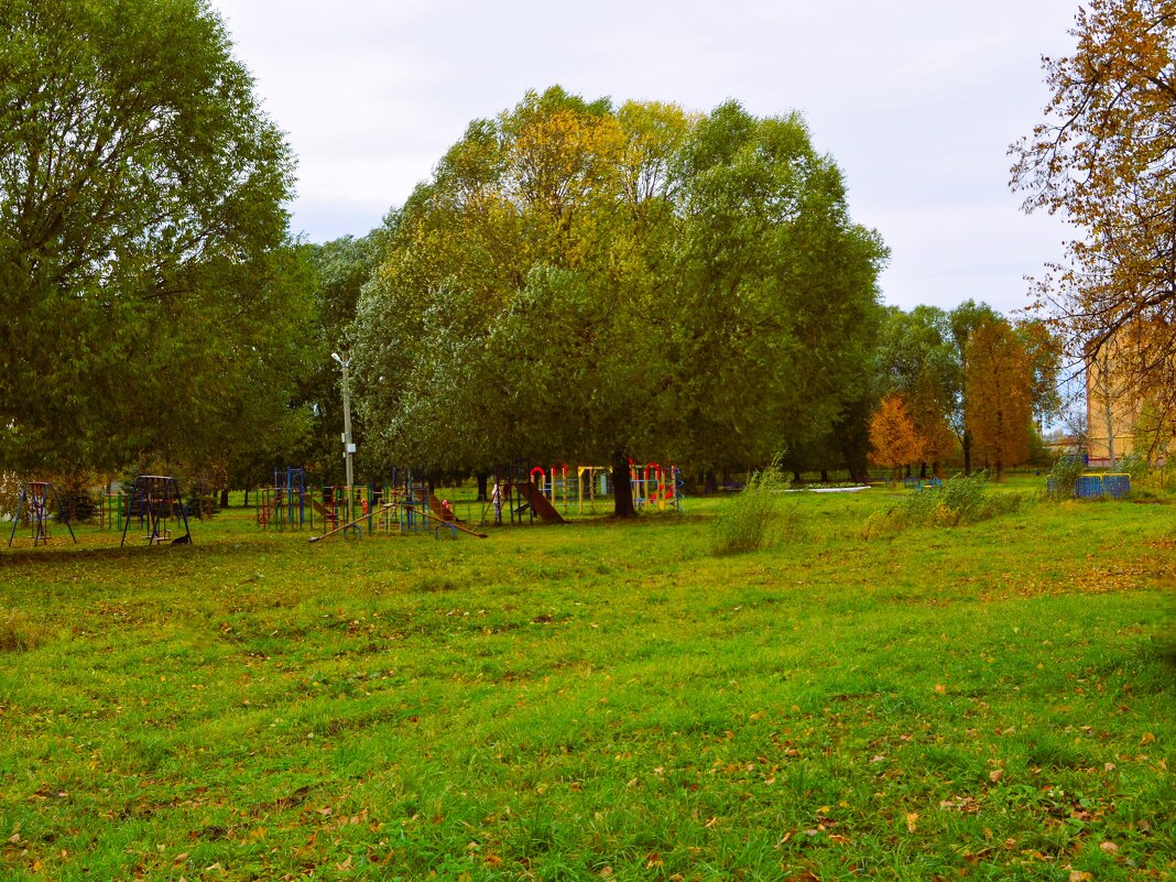 Цивильск. Ивы старого городского парка. - Пётр Чернега