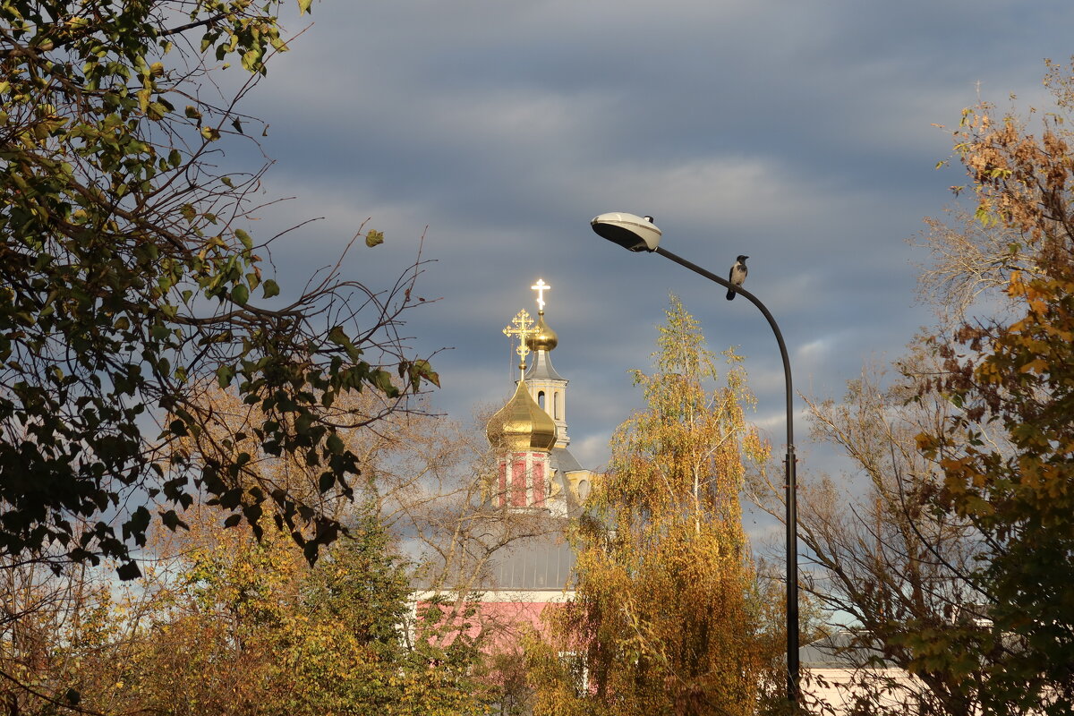 Осенний день - Дмитрий И_