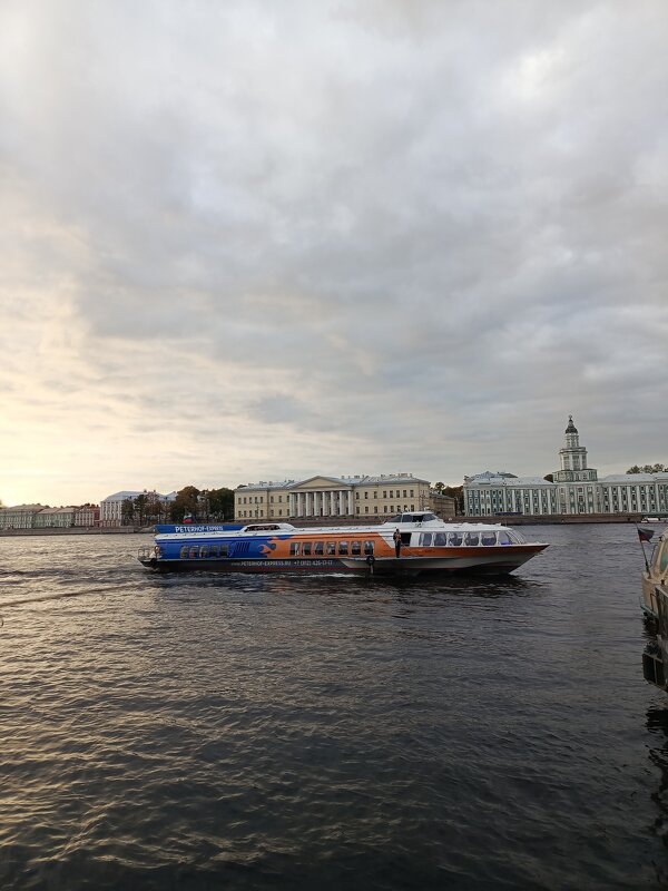 Петербург - Татьяна Пальчикова