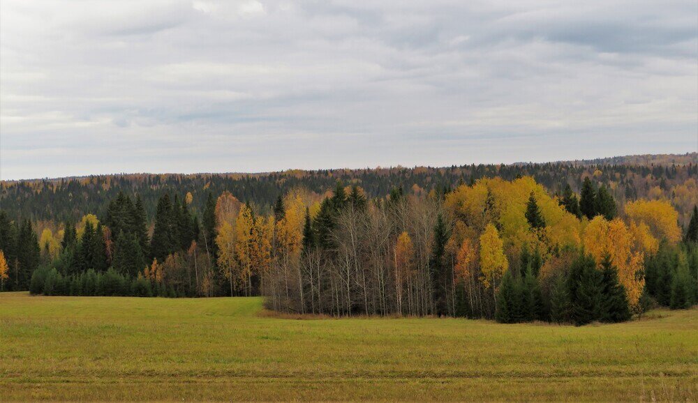 Октябрь - Лариса С.