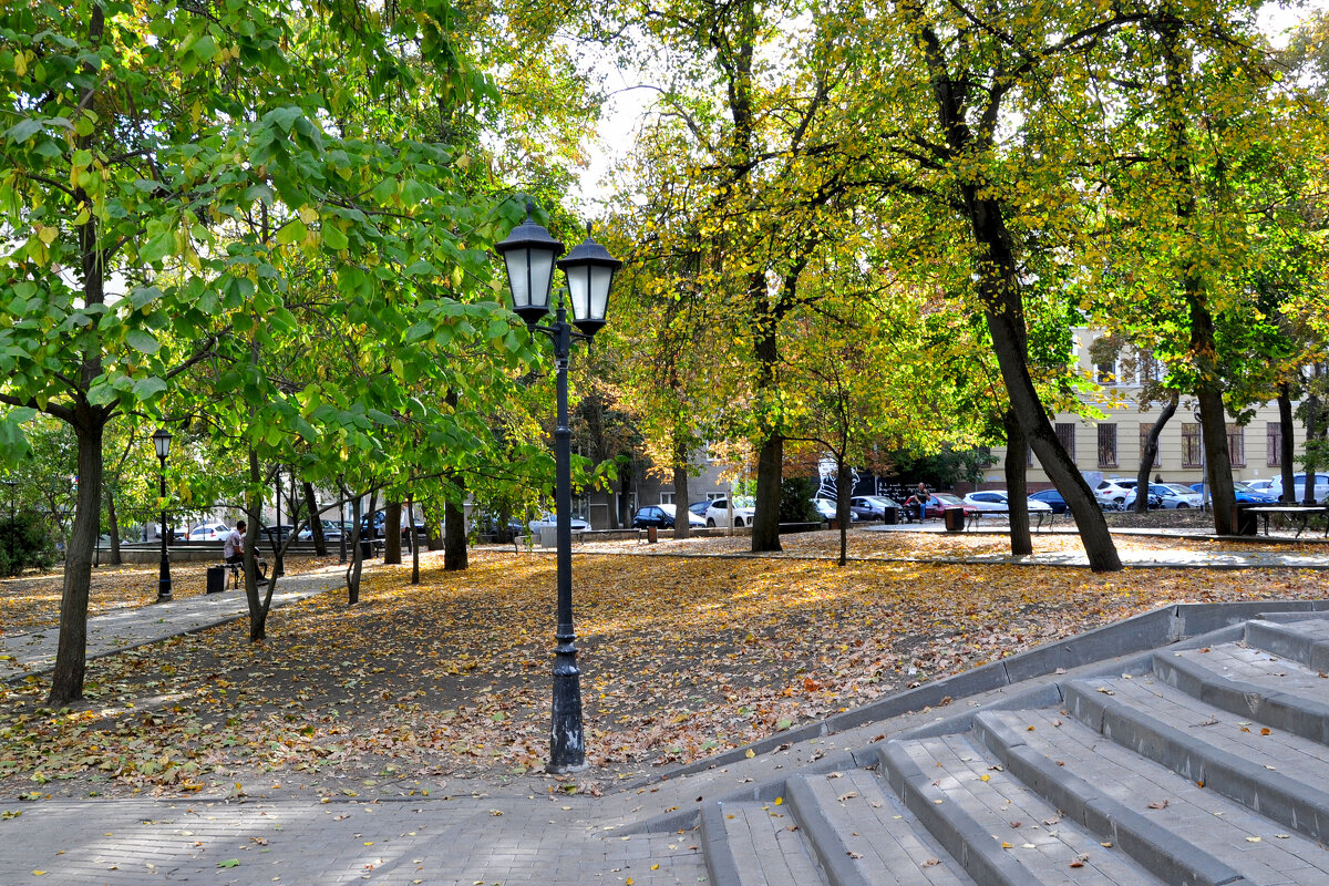 Осень в парке - Татьяна Машошина