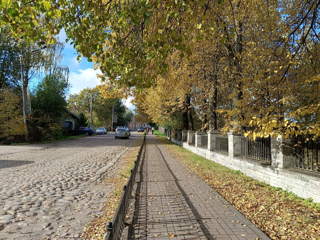 Шлиссельбургское шоссе.  Местами сохранились участки булыжного покрытия. - Мария Васильева