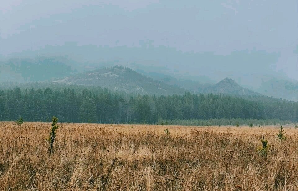 Туман,в горах... - Георгиевич 