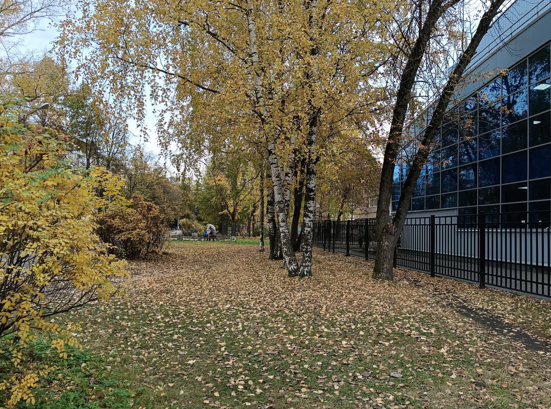 Октябрь в городе - Мария Васильева