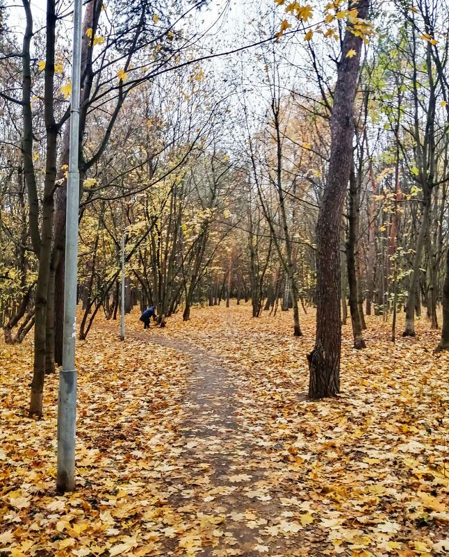 В парке - Александр 