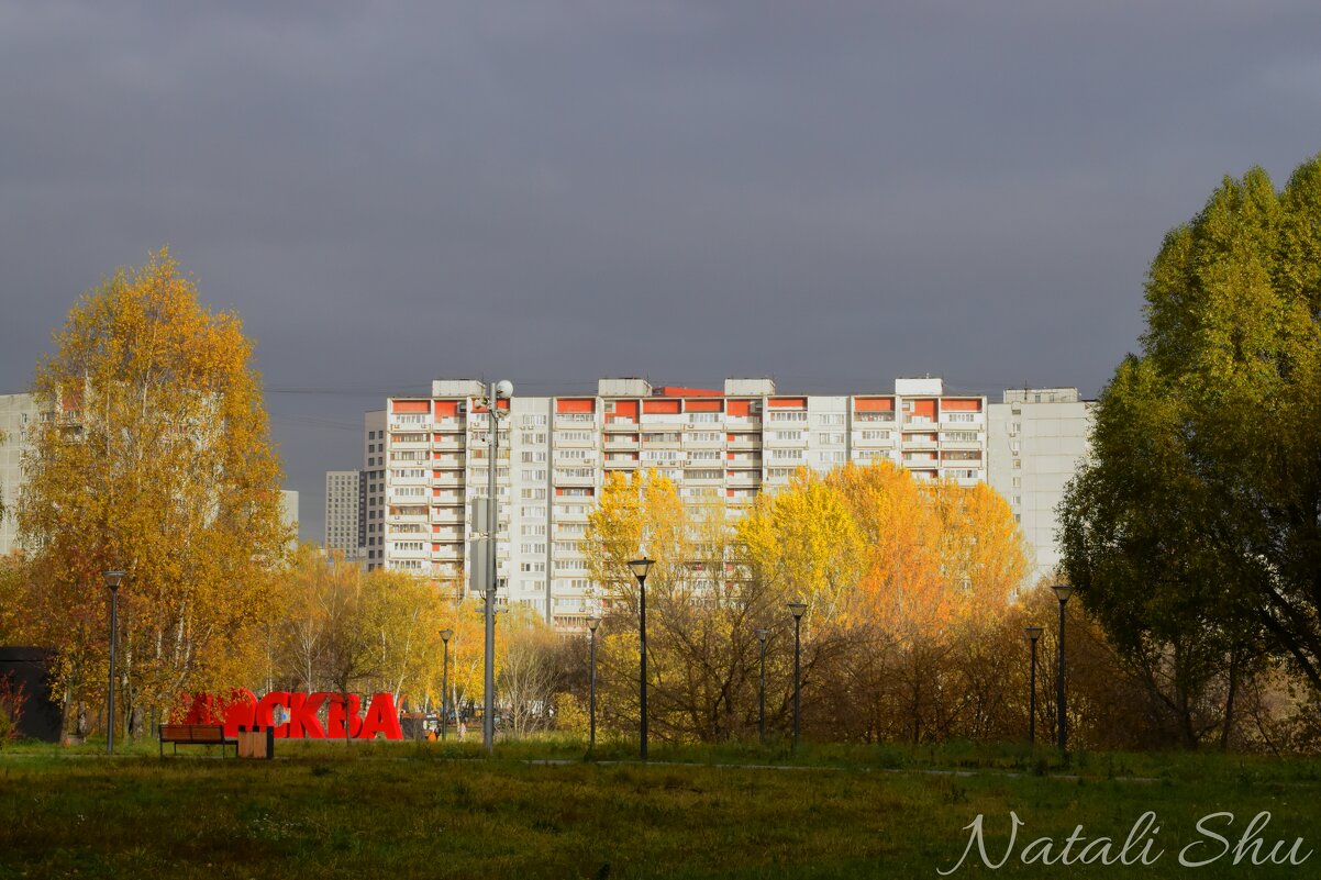 В парке. - Наталья Вязигина