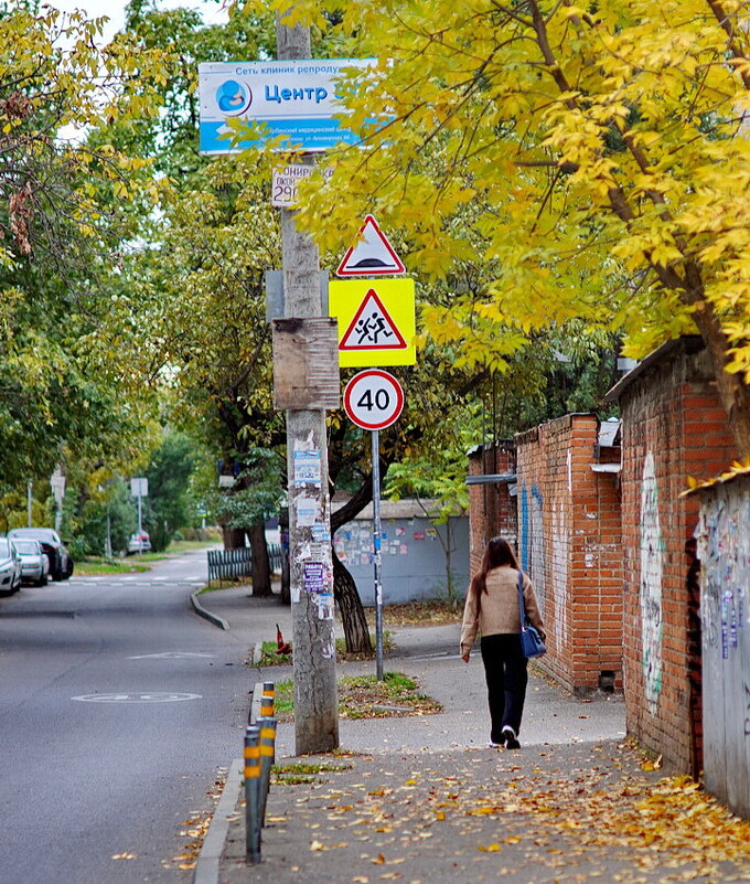 Городская Осень... - Николай Саржанов