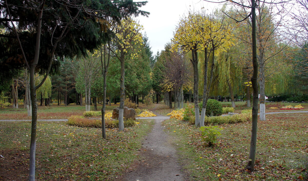 В осеннем парке - Елена Кирьянова