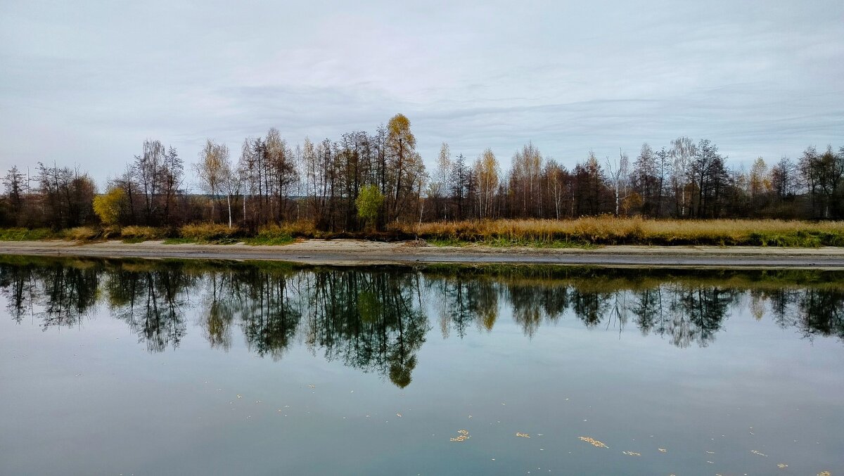 Октябрьское - Пасечник 