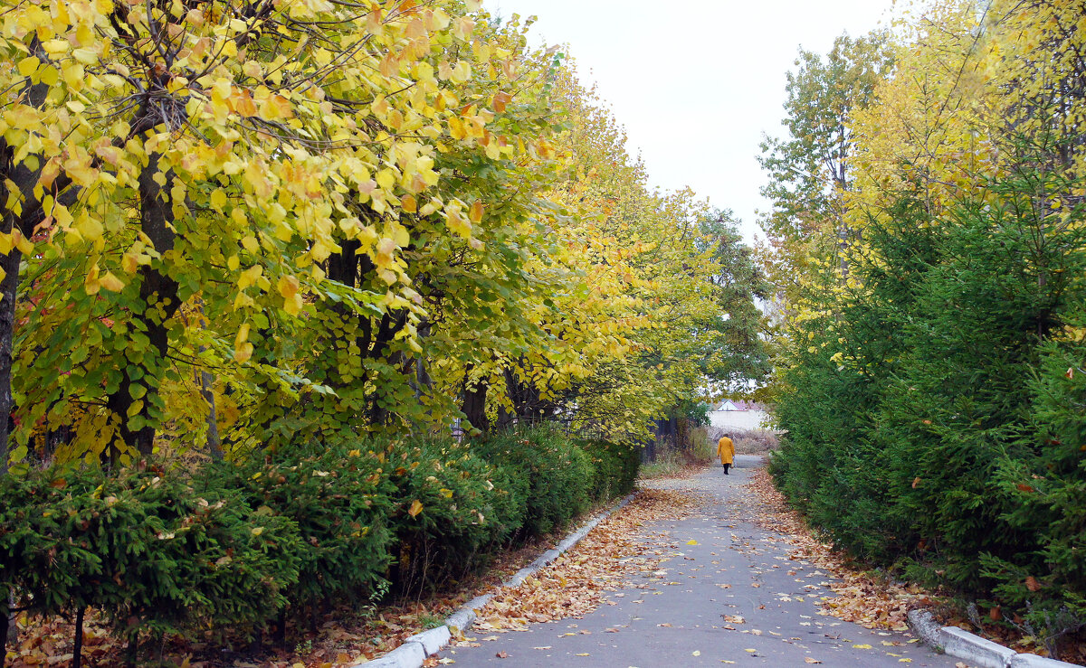 В осеннем парке - Елена Кирьянова