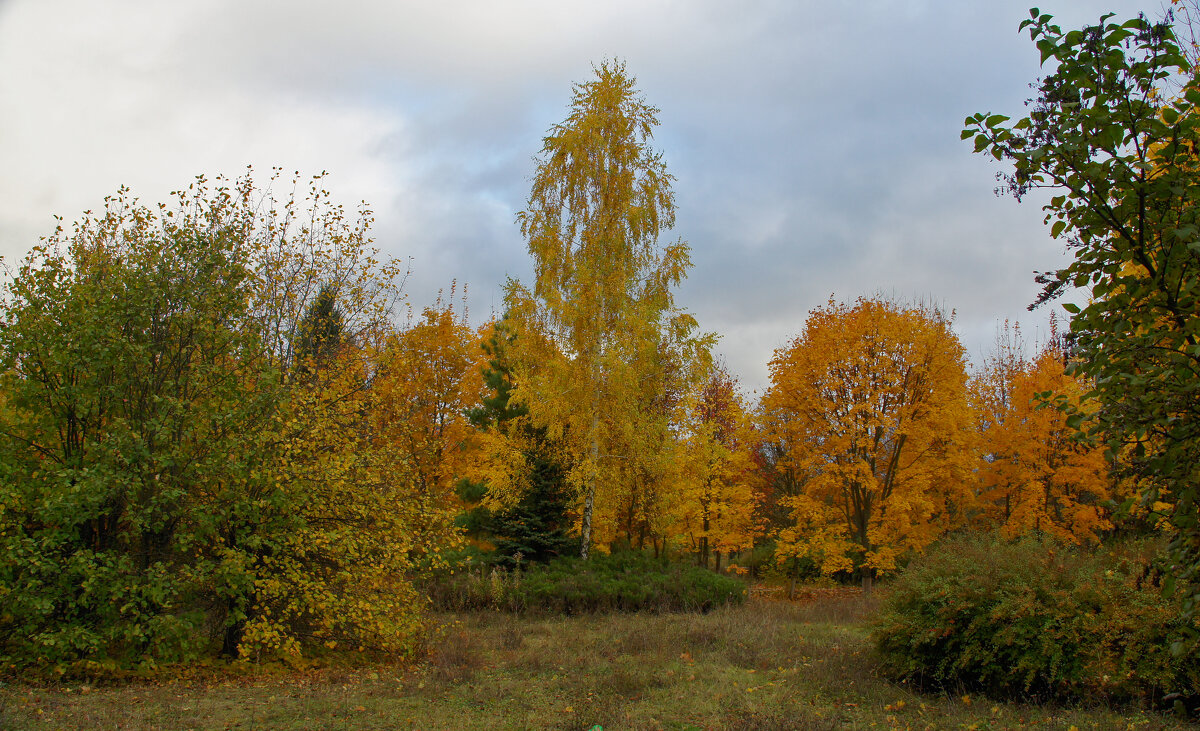 В осеннем парке - Елена Кирьянова