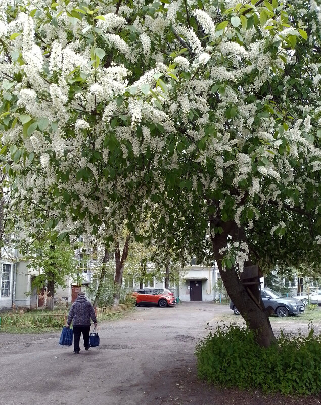 *** - Валентина Береснева