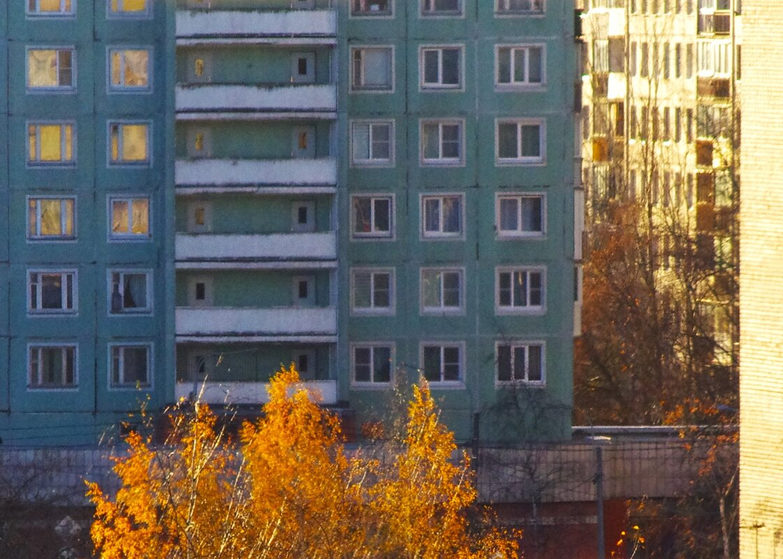 В дали... берёзы последние... - Юрий Куликов