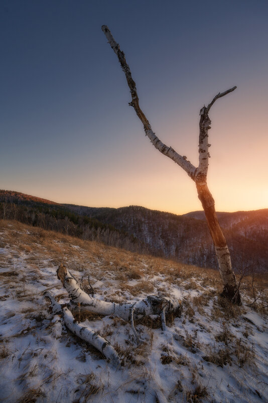 * - Александр Иванов