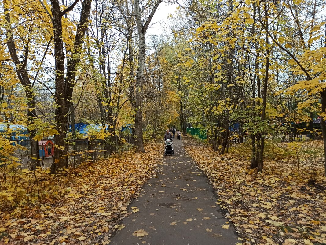 Осень в городе - svk *