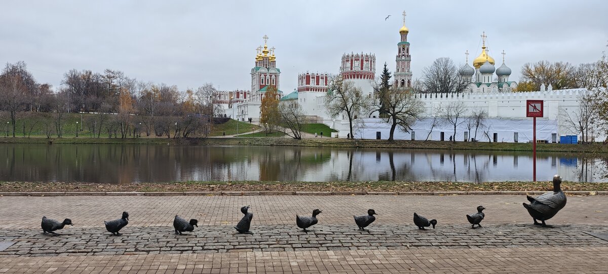 Новодевичий монастырь и Дорогу утятам! - <<< Наташа >>>