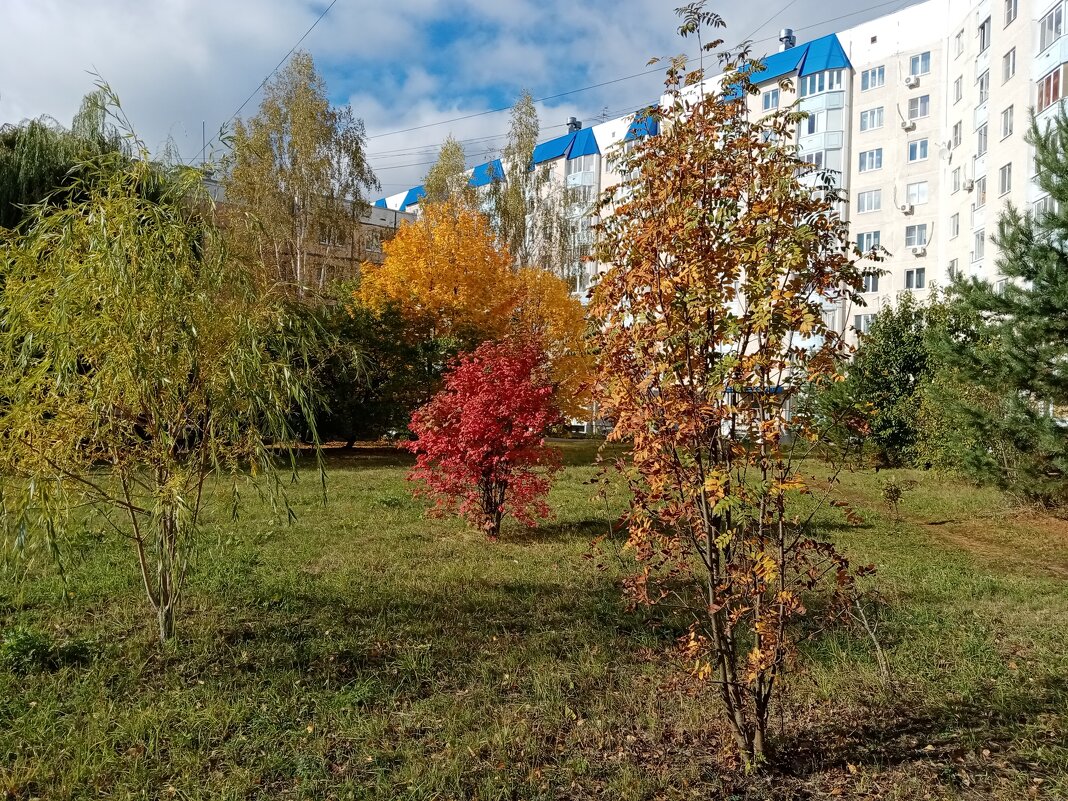 Мценск осенний. - Владимир Драгунский