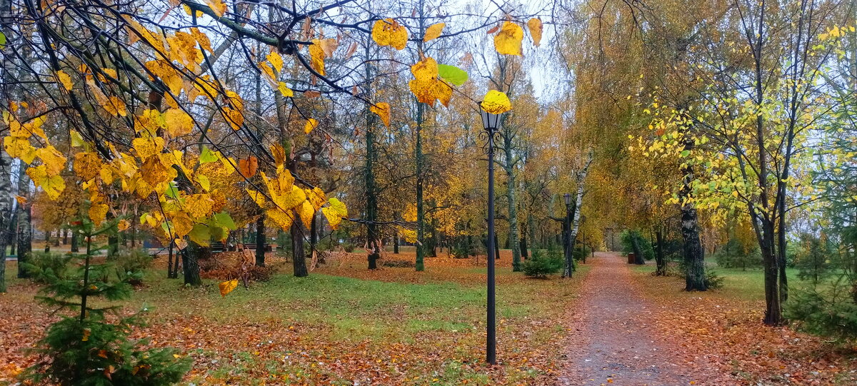 Осень. - Михаил Колосов 