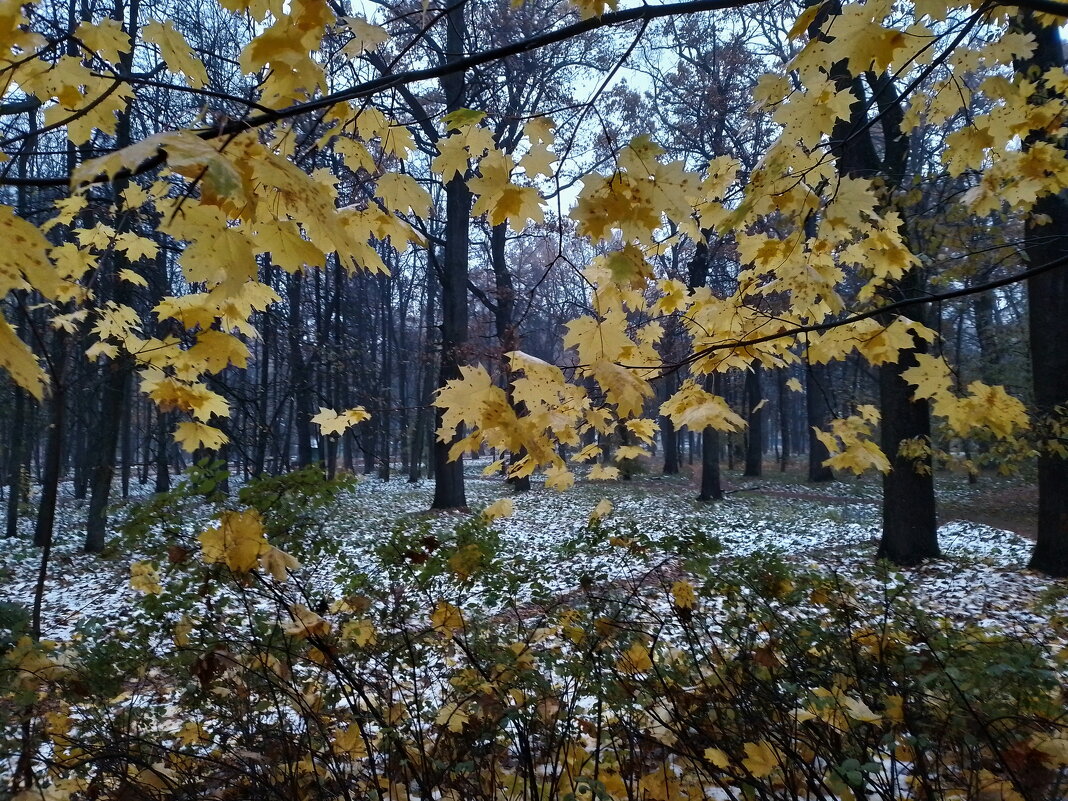 *** - Валентина Береснева