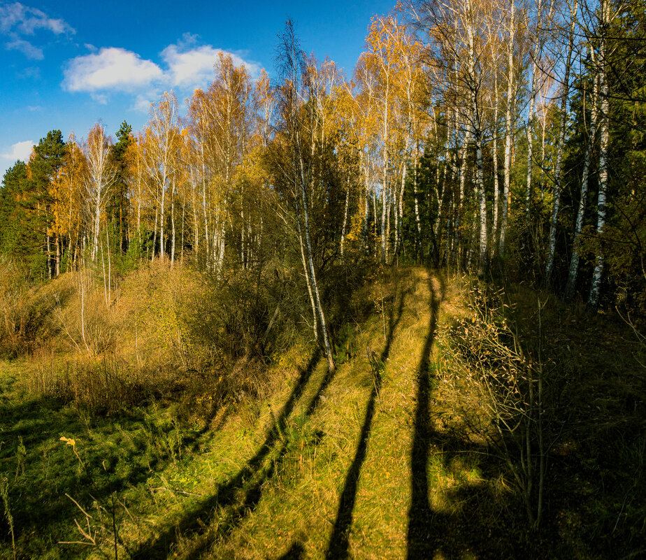 осень - Екатерина Счасная