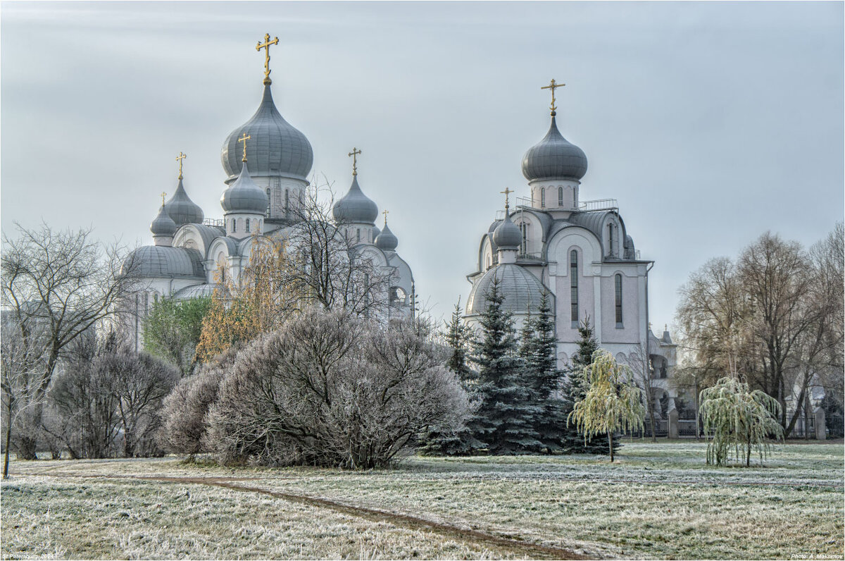 Ноябрь. Первый заморозок. - Александр Максимов