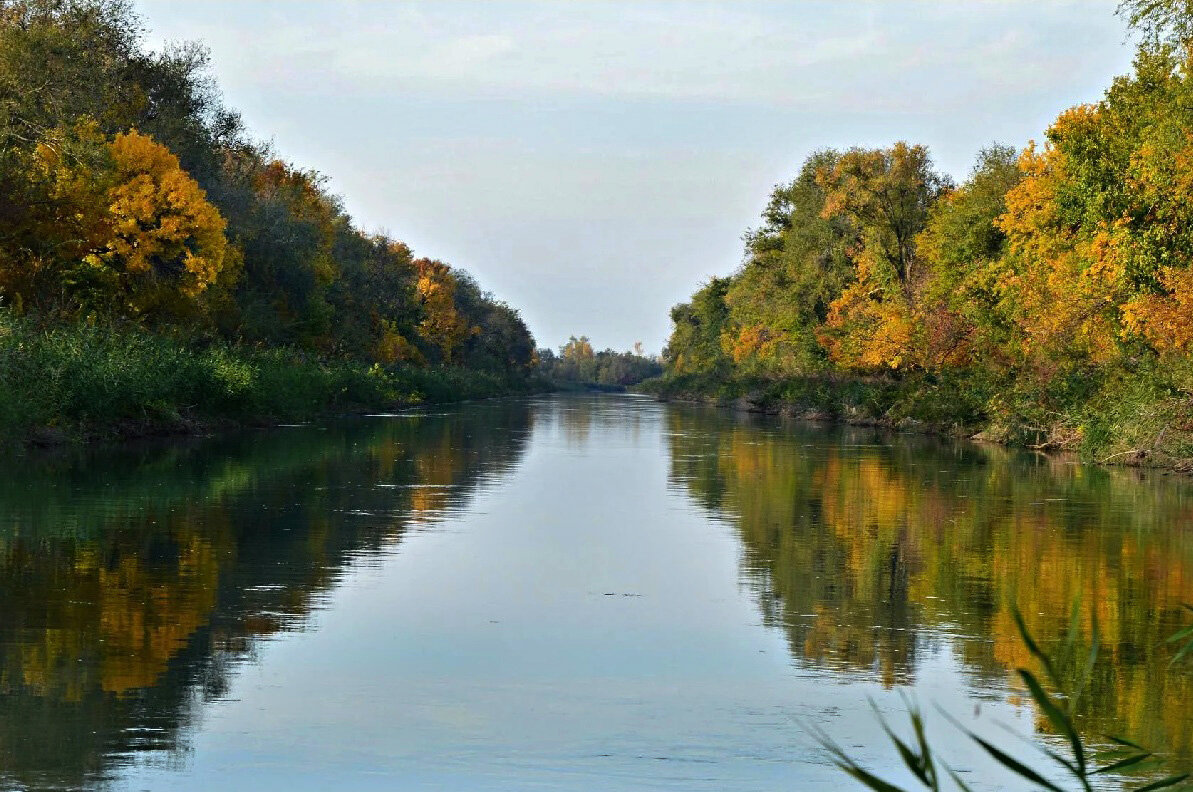 Отраженье Осени в воде... - Надежда Куркина