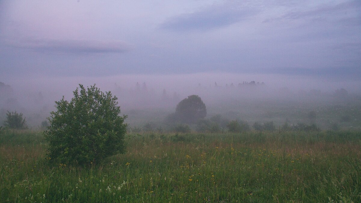 Вечер, осень. - Сергей Землянский