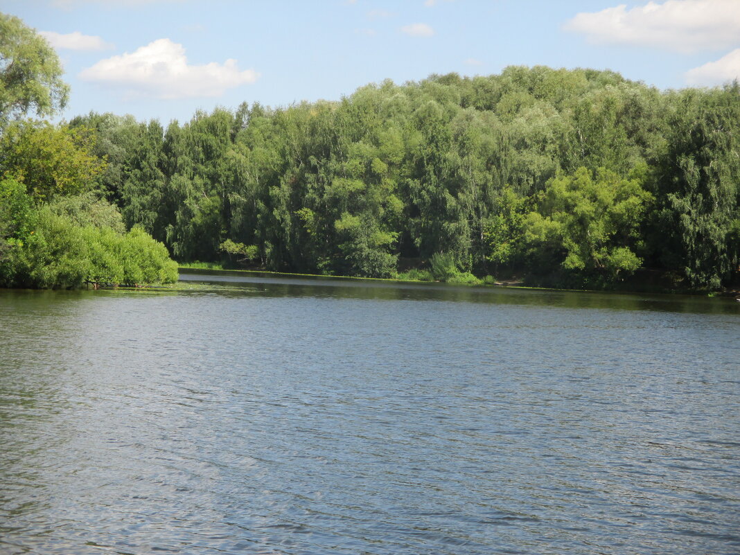 Перед осенью - Алла Яшникова