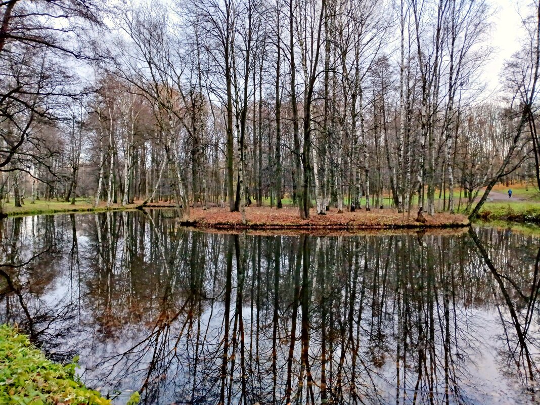 Городские пруды. Ноябрь. - Лия ☼