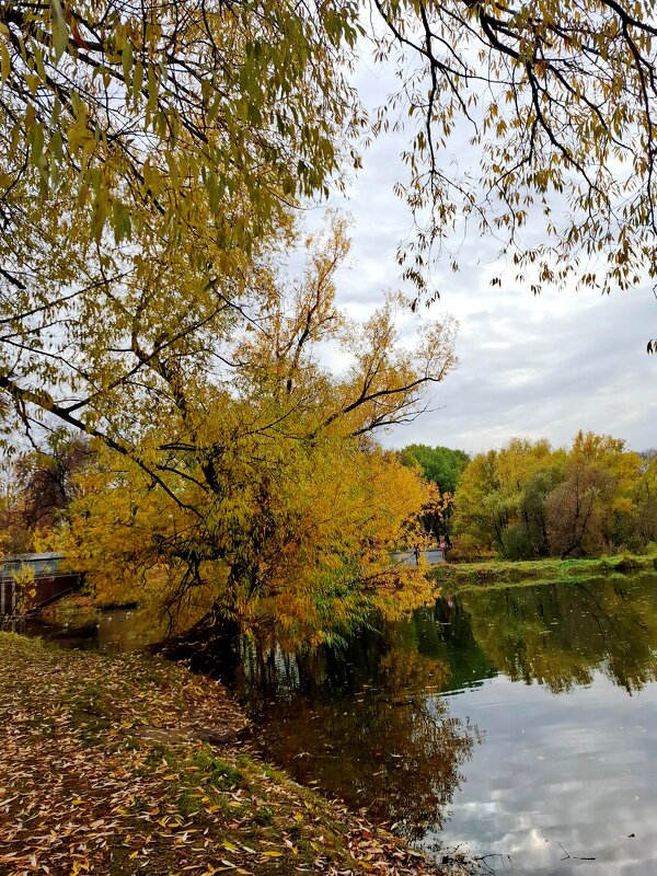 в Лефортово - Мария Демина