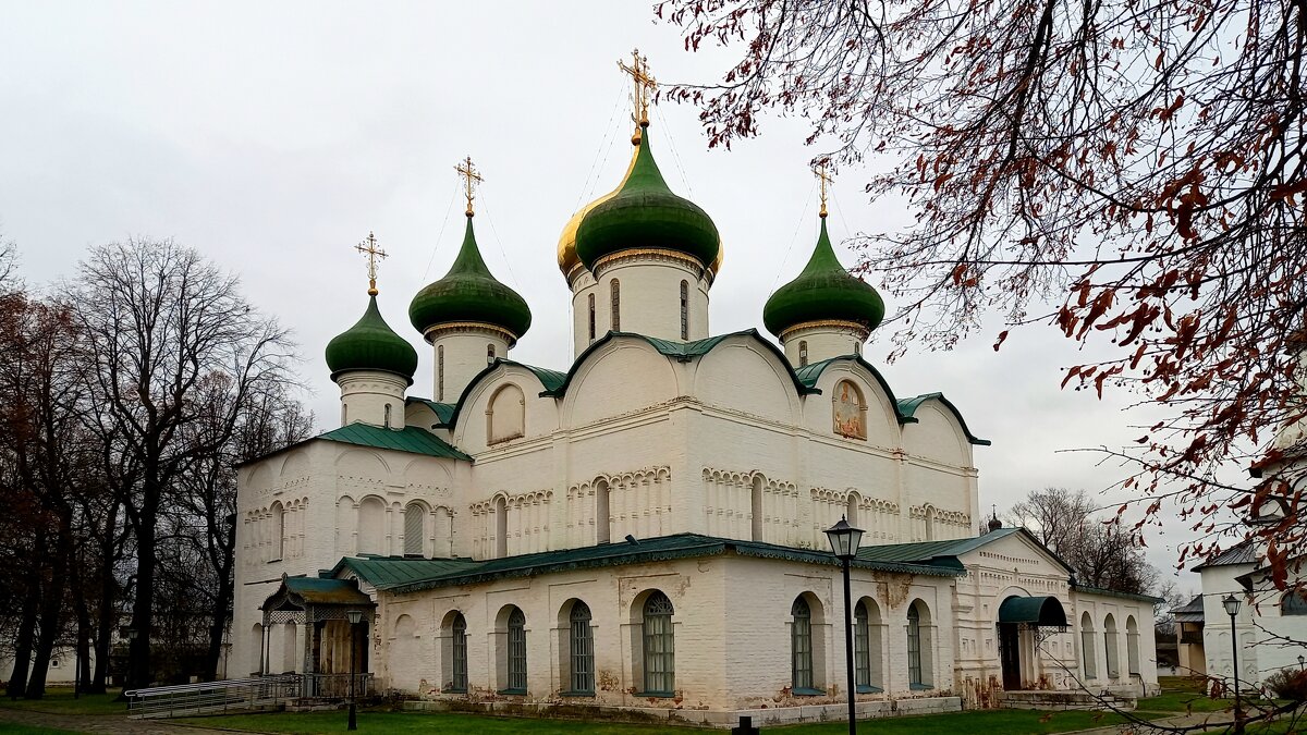 Свято-Преображенский собор. - Елена Вишневская