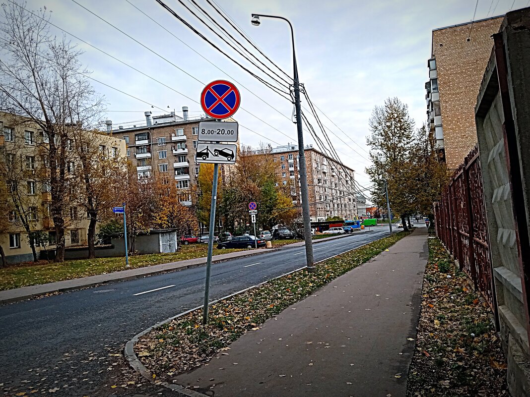 Осень. - Владимир Драгунский